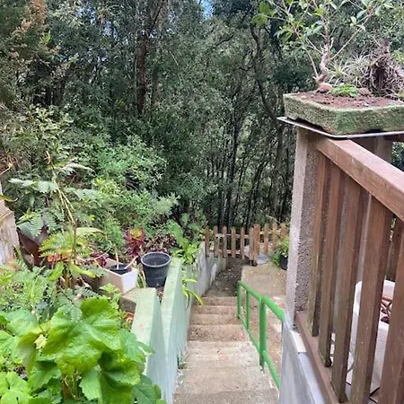 Refugio Luz De Vida Anaga