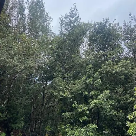Prázdninový dům Luz De Vida Anaga *